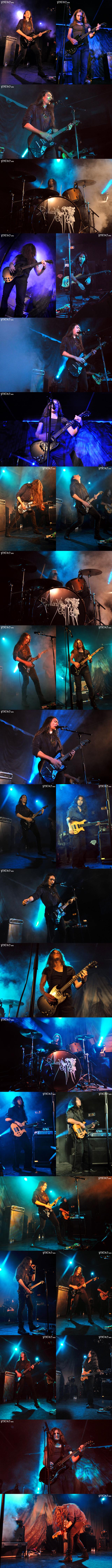 ALCEST
