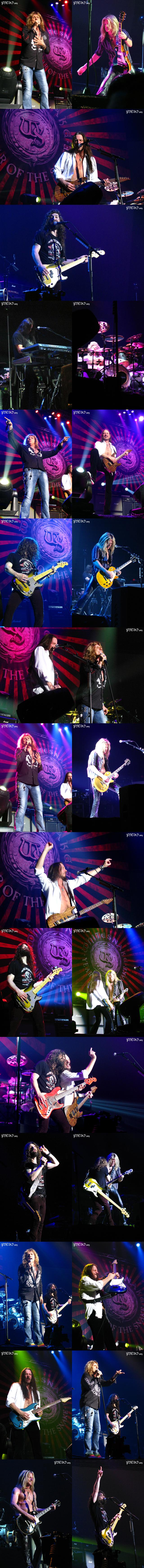 WHITESNAKE2013